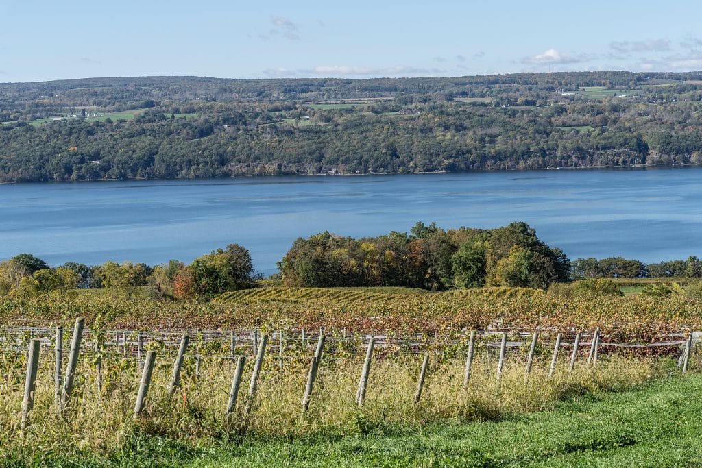 Elegant Concierge Services Shares Vacation Destinations for Wine Lovers 4